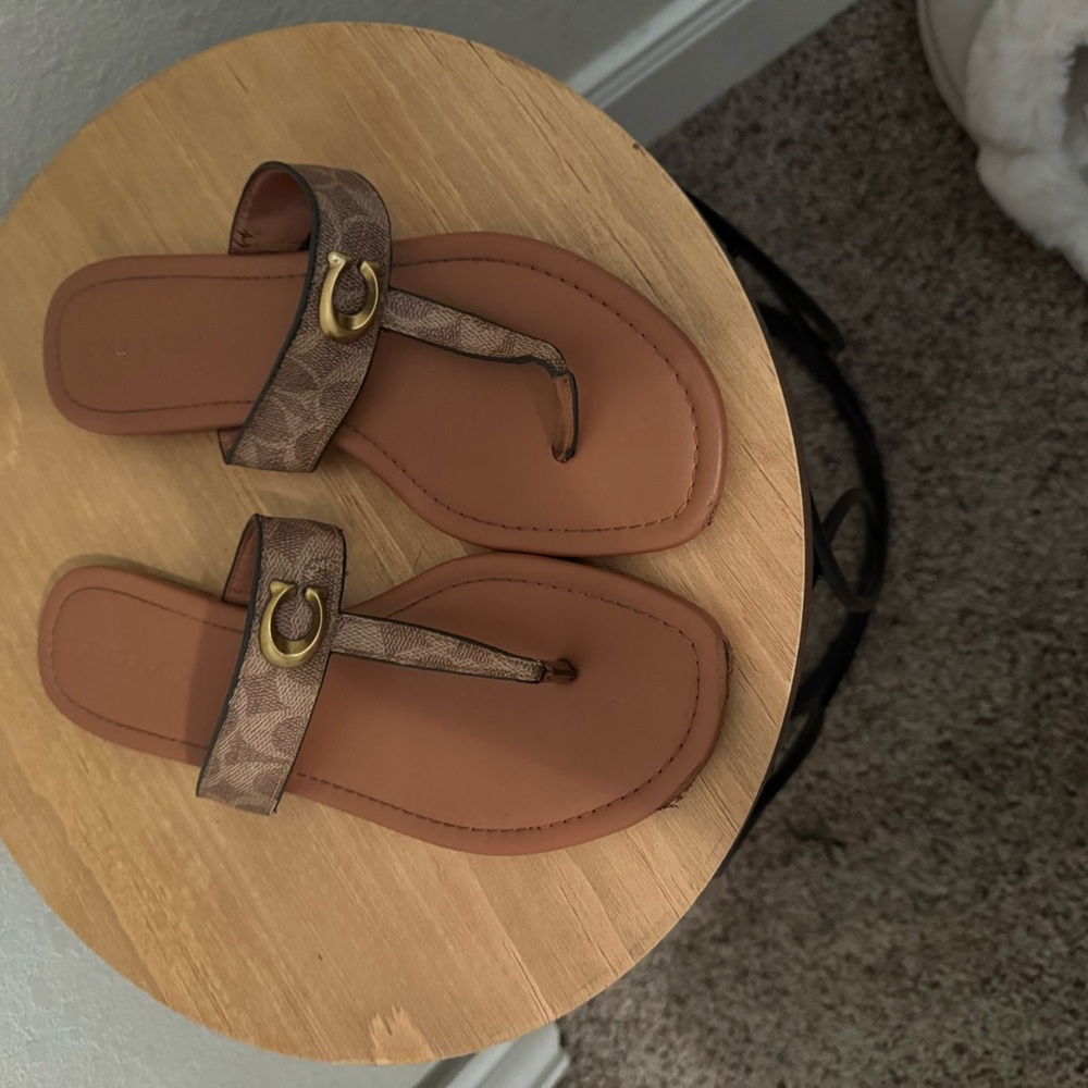 Coach Brown Minimalist Sandals with Metallic Detail